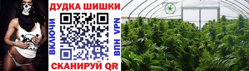 Магазины продажи наркотиков Мирный Конопля Мефедрон Cocaine ГАШИШ