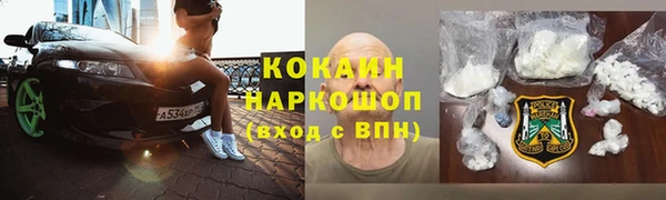 сатива Беломорск