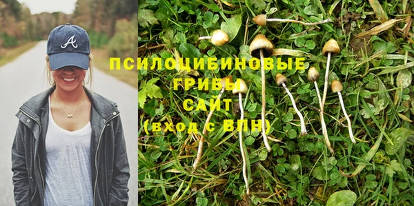 скорость Белокуриха