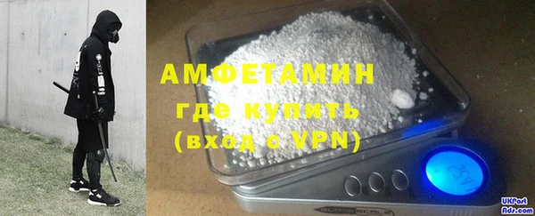 сатива Беломорск