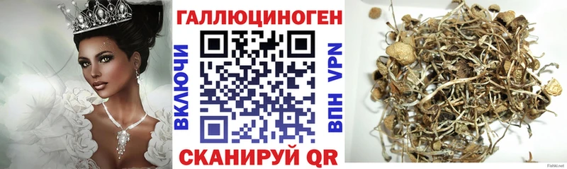 Галлюциногенные грибы MAGIC MUSHROOMS  как найти   OMG зеркало  Мирный 